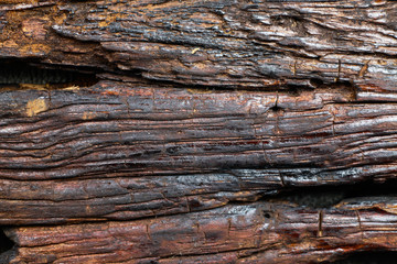 Rotten wood, Wood decay, Old wooden pattern