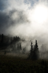 Layers of Fog