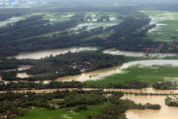 Obraz premium Forest from above at Tropical Island