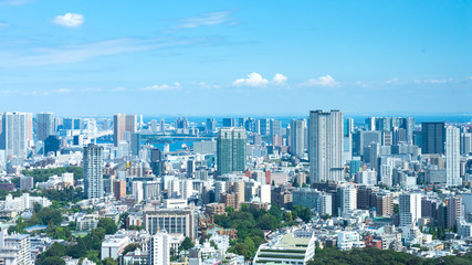 Obraz premium 東京風景