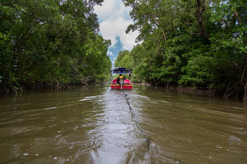 Small boat rafting, touring nature, sea coast