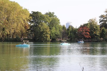 Pédalos sur le lac du Parc de la Tête d'Or à Lyon - France