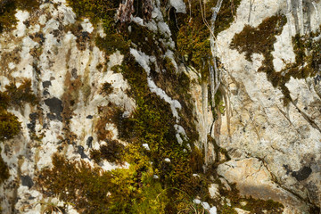 Image of icicles on a rock.