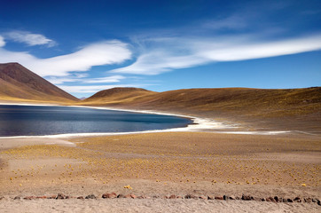 North of Chile, Atacama and Salar de Tara