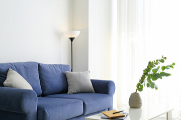 Stylish interior of room with sofa and eucalyptus branches in vase on table