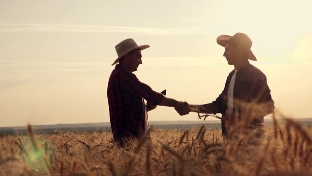 eam work. Two farmers stand at sunset in a wheat field, and discuss the new crop.. Farmers use new technologies in agriculture. Growing organic products.