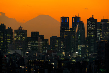Tokyo city view and Mountain Fuji in Japan. Tokyo cityscape twilight.