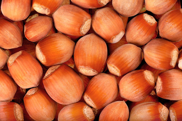 Hazelnuts. Food background, photo wallpaper. Macro close up