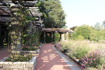 Jardin des roses - Roseraie Parc de la Tête d'Or à Lyon - France