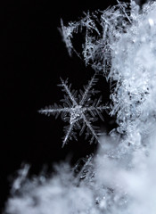 winter card, photo real snowflakes on snow