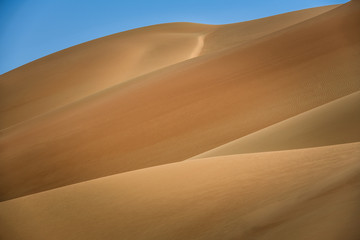 Fototapeta na wymiar into the desert, sand dunes spread as far as the horizon, the arid surrounding is spreading, 