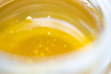 養蜂　はちみつ