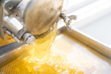 養蜂　はちみつ