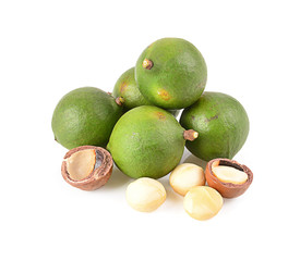 macadamia nut  on a white background