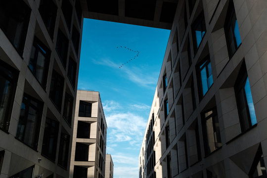 birds fly south out of town.