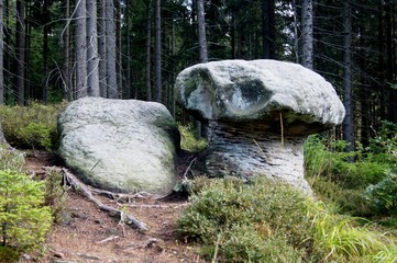 stones in forest in Poland G&oacute;ry Stołowe-