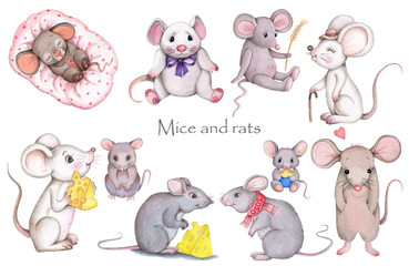 Big set of mice, watercolor illustrations, collection. Hand drawn, isolated.