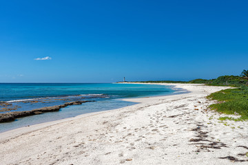 Obraz premium White beaches of Cozumel