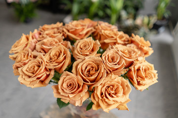 Caramel color, tofi roses in a glass vase. Beautiful rose flower for catalog or online store. Floral shop concept . Beautiful fresh cut bouquet. Flowers delivery