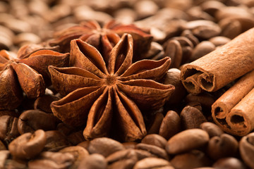 Obraz na płótnie Canvas Close-up anise stars, cinnamon stick and coffee beans.