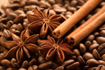 Anise spice, cinnamon stick and coffee beans.
