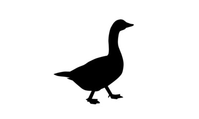 Gans Silhouette