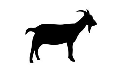Obraz premium Ziege Silhouette