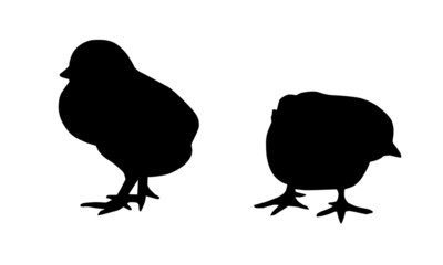 Küken Silhouette