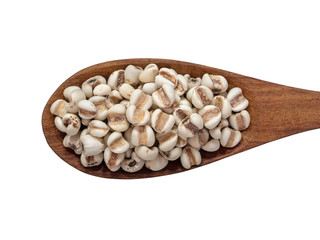 Job`s tears,Adlay,millet or Pivot in wooden spoon isolated on white background.Scientific name is Cox lacrima job.,Harb.cereal.top view.	