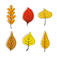 Obraz premium Collection of Bright Colorful Autumn Leaves from Different Kind Forest Trees Vector Illustration