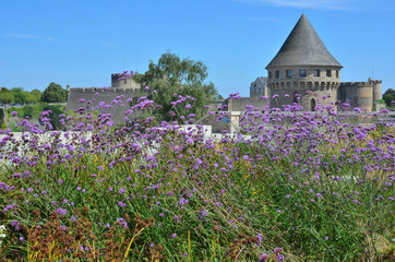 Brest, Tour Tanguy, Brittany, France