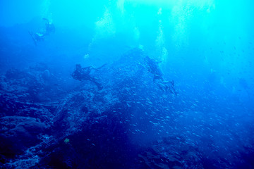 Fototapeta na wymiar scuba diving