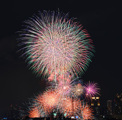 Obraz premium 花火