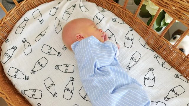 newborn baby sleeping in a lash crib