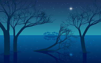landscape of mangrove forest on the beach in the night