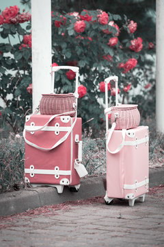 Two Fancy Suitcases In Vintage Style