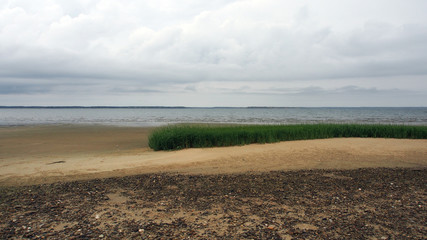 Fototapeta na wymiar Cape Cod, USA: Schwemmwiese am Strand bei Ebbe, Bucht von Wellfleet