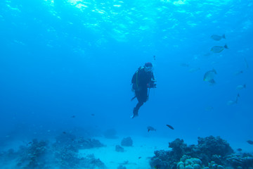 scuba diving