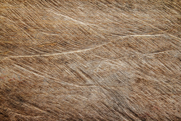 Old wood plank texture background