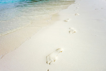 footprints on a tropical beach