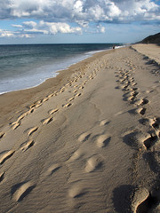 Cape Cod, USA: menschenleerer Strand bei Wellfleet