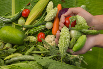 The concept of world food day, vegetables in the hands of men And there are many kinds of vegetables in the background.