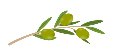 Olives on branches flat vector illustrations set