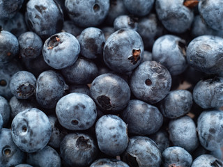 Fresh blueberry background. Texture blueberry berries close up. Fresh juicy blueberries.