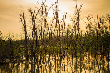 sunset over the lake