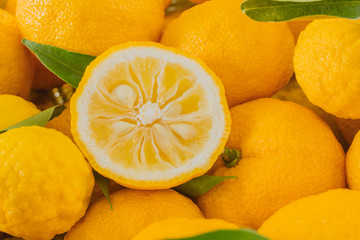 半分に切ったユズ