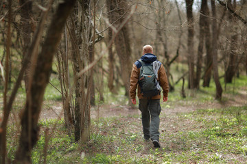Rear view of hiker. A red-haired man in a brown-and-blue windbreaker with backpack and rope walks in spring forest. There are no foliage on trees. Blooming primrose flowers are visible on the ground.