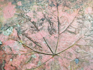 Orange leaf pattern walkway with blurred pattern background