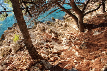 High angle view of rocks and trees on the seaside in sunset
