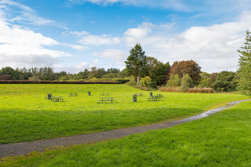Fototapeta premium Mature Scottish Green Trees Prior to the Changes To Autumn Colours